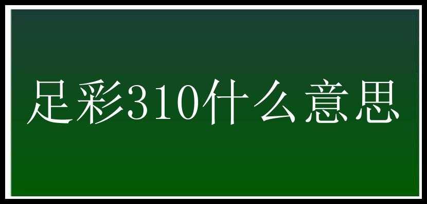 足彩310什么意思