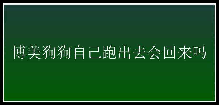 博美狗狗自己跑出去会回来吗