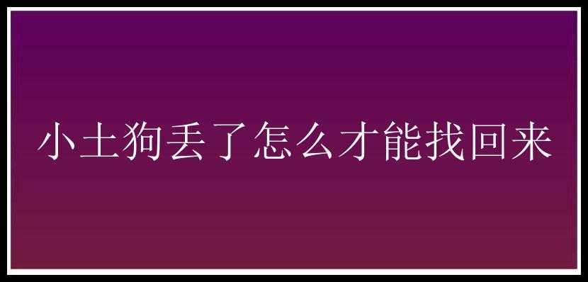 小土狗丢了怎么才能找回来