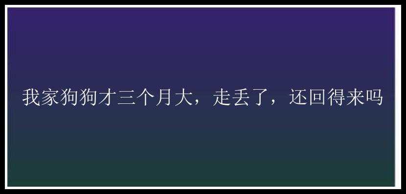 我家狗狗才三个月大，走丢了，还回得来吗