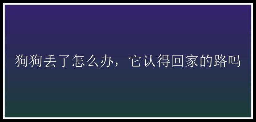 狗狗丢了怎么办，它认得回家的路吗