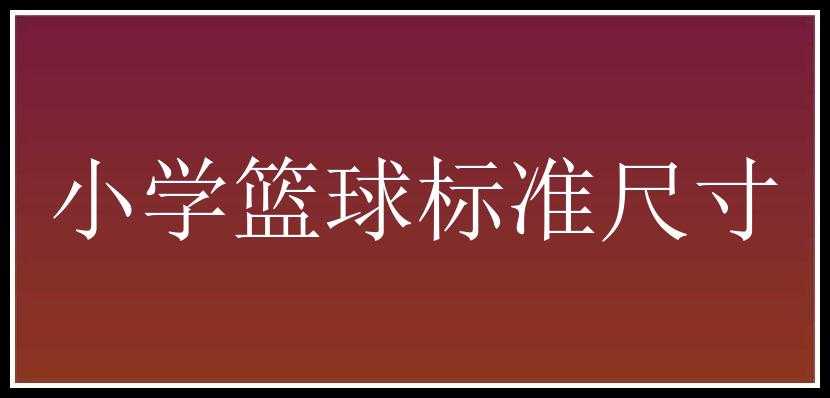 小学篮球标准尺寸