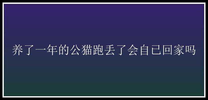 养了一年的公猫跑丢了会自已回家吗