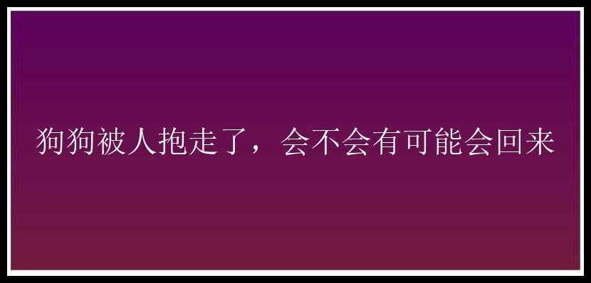 狗狗被人抱走了，会不会有可能会回来