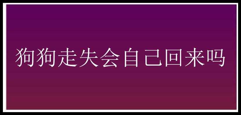 狗狗走失会自己回来吗