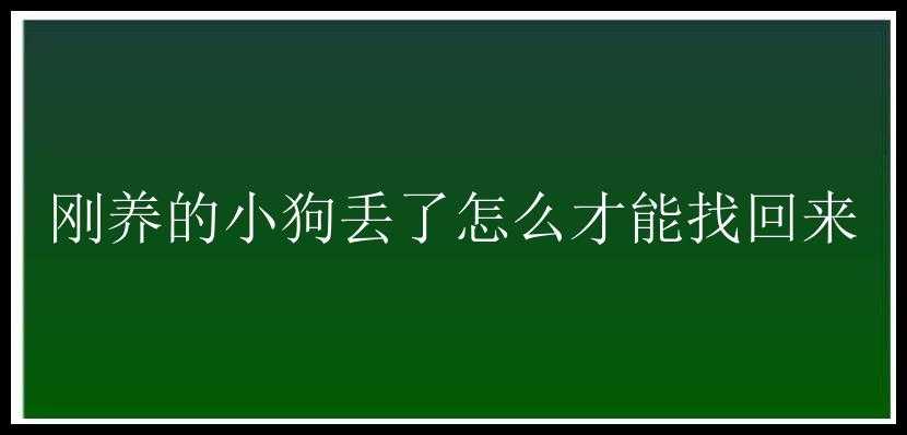 刚养的小狗丢了怎么才能找回来