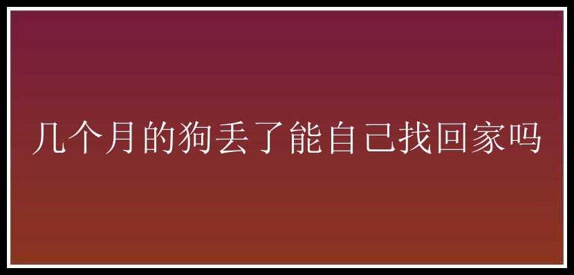 几个月的狗丢了能自己找回家吗