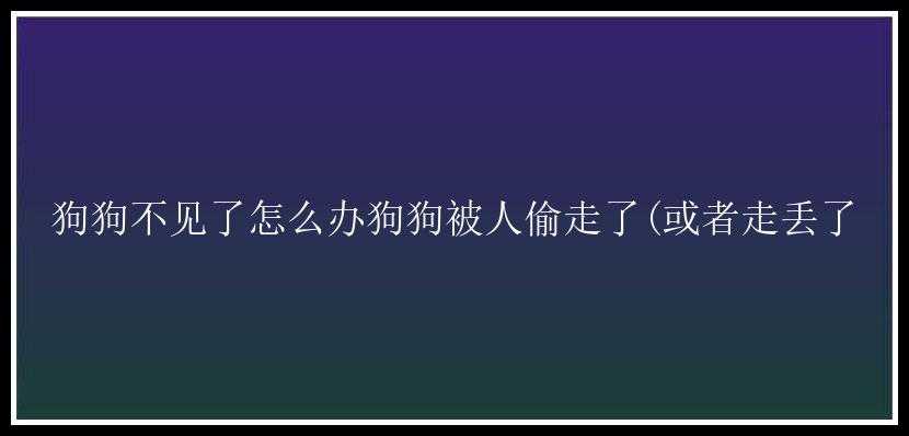 狗狗不见了怎么办狗狗被人偷走了(或者走丢了