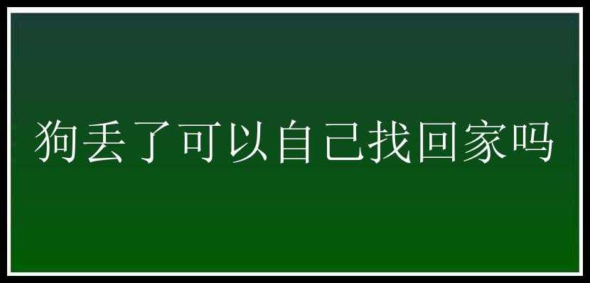 狗丢了可以自己找回家吗