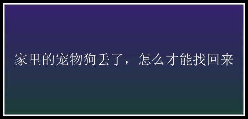 家里的宠物狗丢了，怎么才能找回来