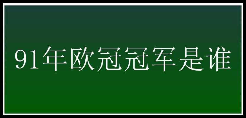 91年欧冠冠军是谁