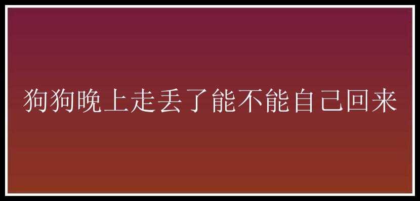 狗狗晚上走丢了能不能自己回来