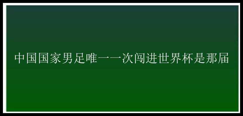 中国国家男足唯一一次闯进世界杯是那届