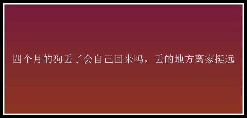 四个月的狗丢了会自己回来吗，丢的地方离家挺远