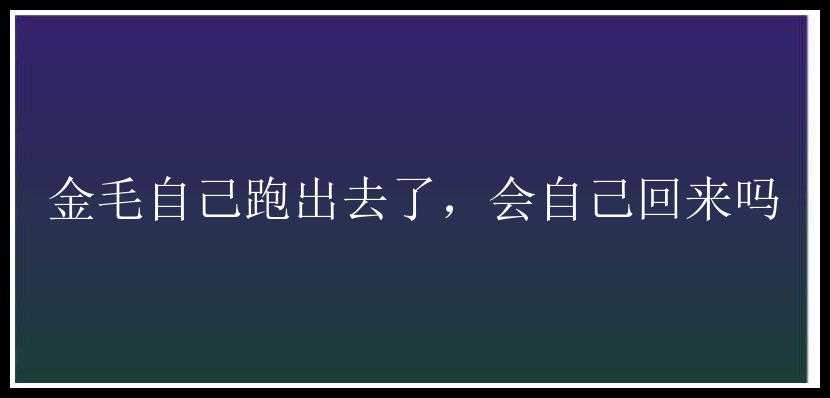 金毛自己跑出去了，会自己回来吗