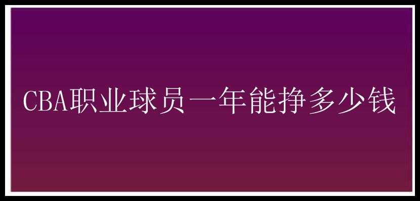 CBA职业球员一年能挣多少钱