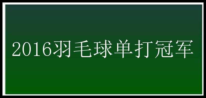 2016羽毛球单打冠军