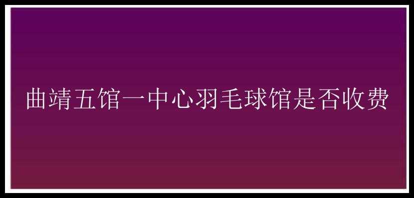 曲靖五馆一中心羽毛球馆是否收费