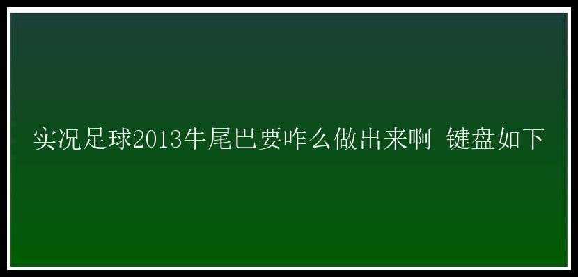 实况足球2013牛尾巴要咋么做出来啊 键盘如下