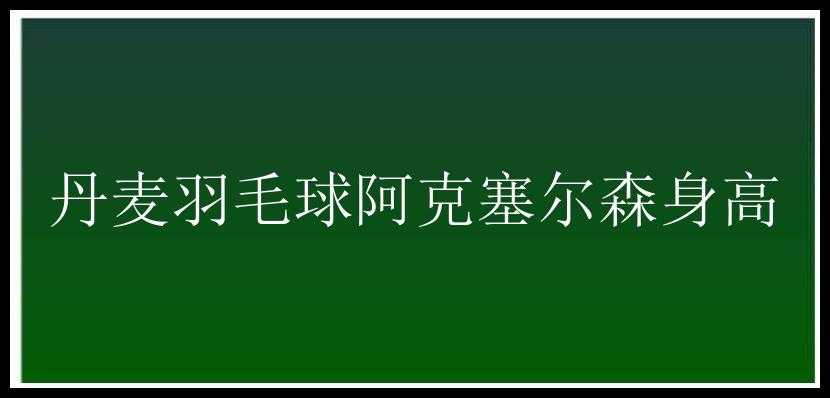 丹麦羽毛球阿克塞尔森身高