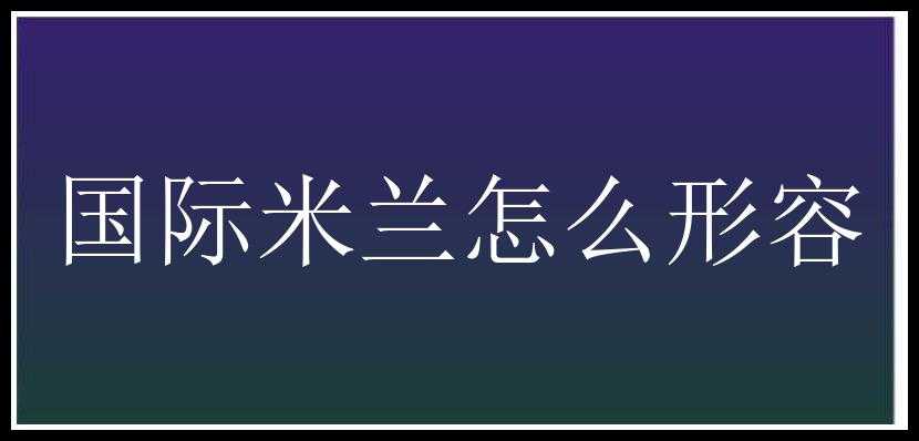 国际米兰怎么形容