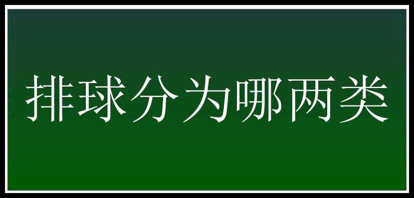 排球分为哪两类