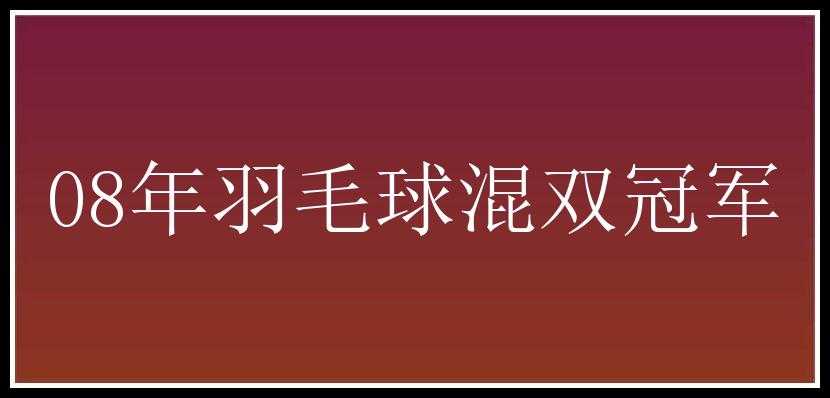 08年羽毛球混双冠军