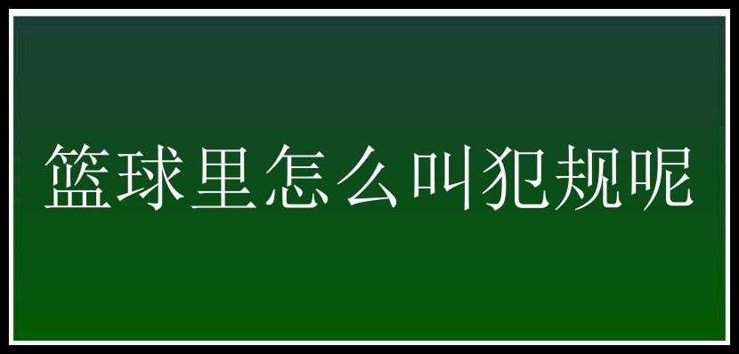 篮球里怎么叫犯规呢