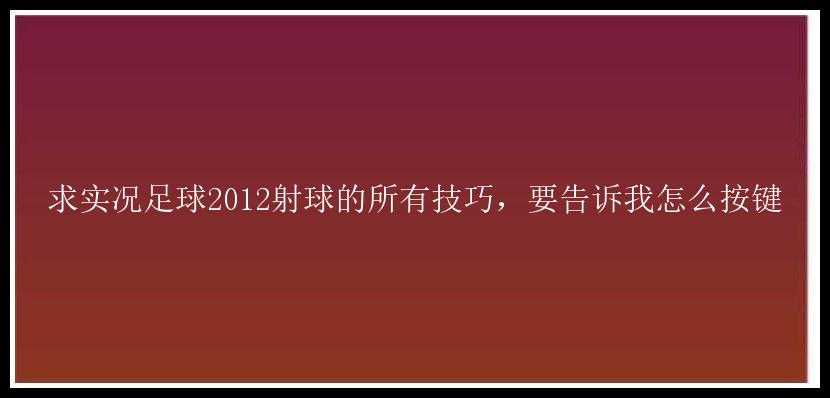 求实况足球2012射球的所有技巧，要告诉我怎么按键