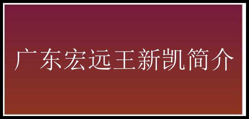 广东宏远王新凯简介