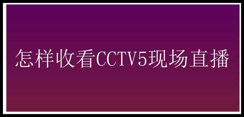 怎样收看CCTV5现场直播