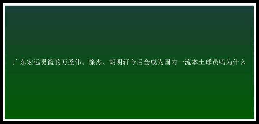 广东宏远男篮的万圣伟、徐杰、胡明轩今后会成为国内一流本土球员吗为什么