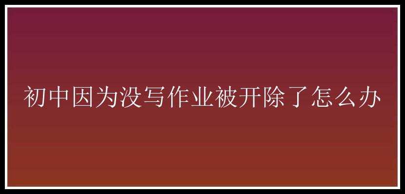 初中因为没写作业被开除了怎么办