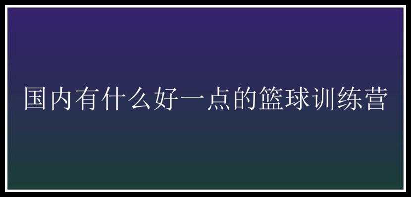 国内有什么好一点的篮球训练营