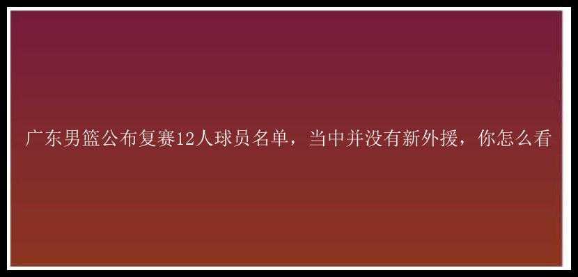 广东男篮公布复赛12人球员名单，当中并没有新外援，你怎么看