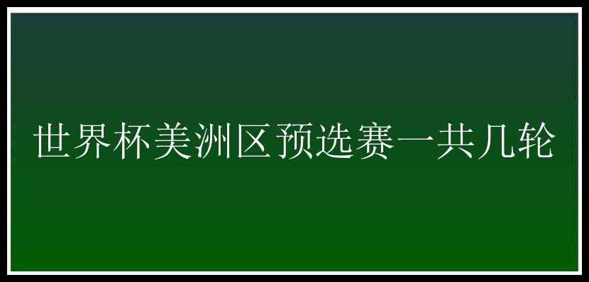 世界杯美洲区预选赛一共几轮