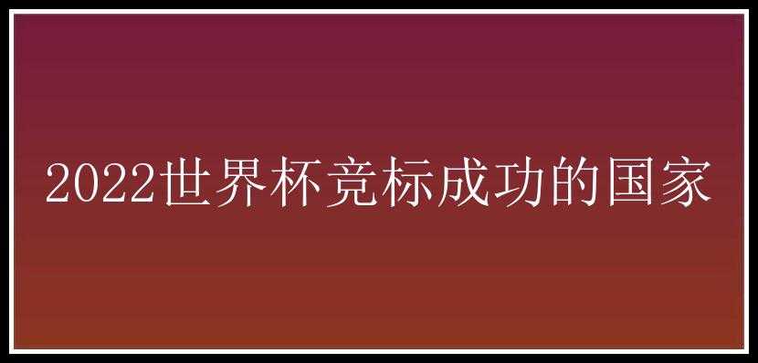 2022世界杯竞标成功的国家