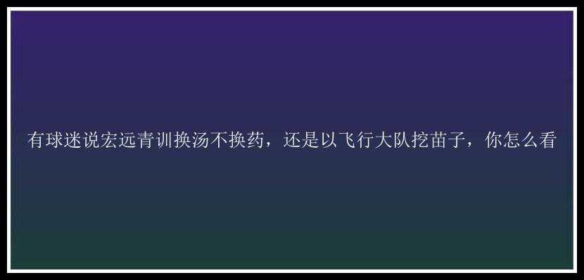 有球迷说宏远青训换汤不换药，还是以飞行大队挖苗子，你怎么看