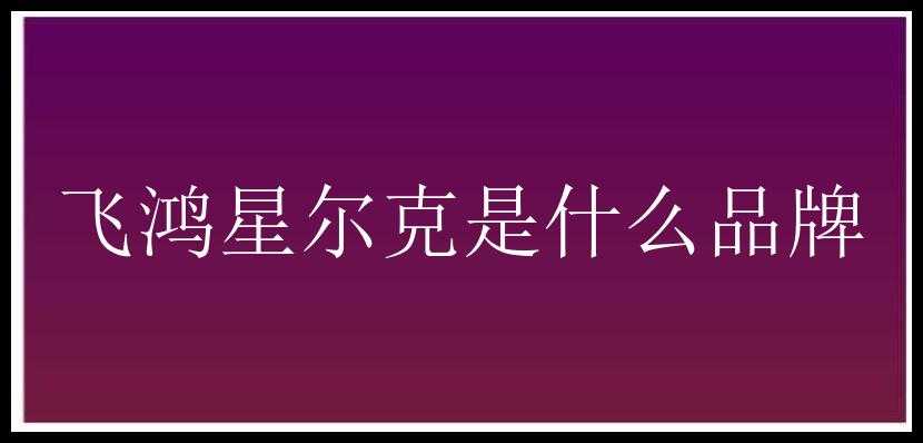 飞鸿星尔克是什么品牌