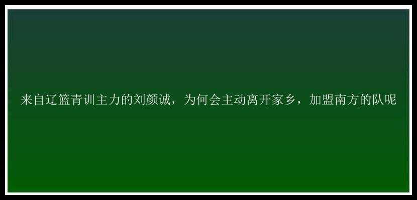 来自辽篮青训主力的刘颜诚，为何会主动离开家乡，加盟南方的队呢