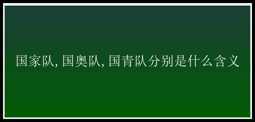 国家队,国奥队,国青队分别是什么含义