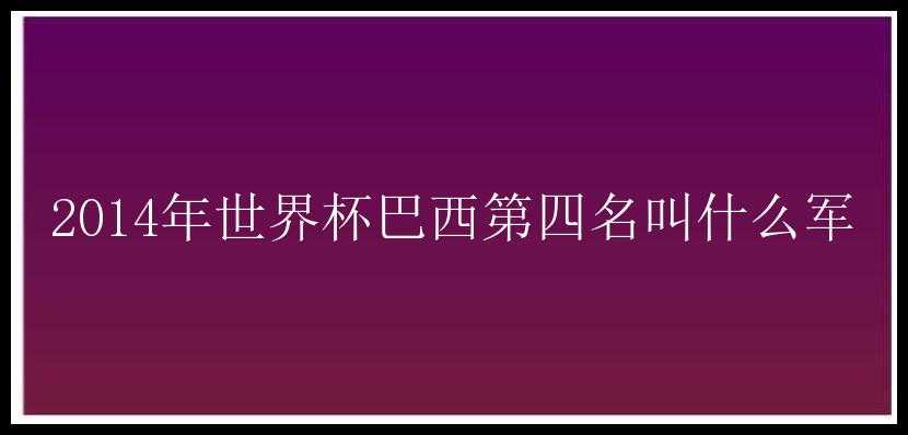 2014年世界杯巴西第四名叫什么军