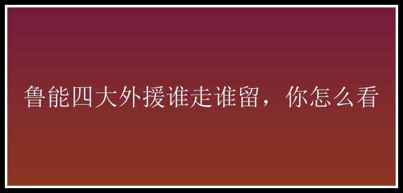 鲁能四大外援谁走谁留，你怎么看