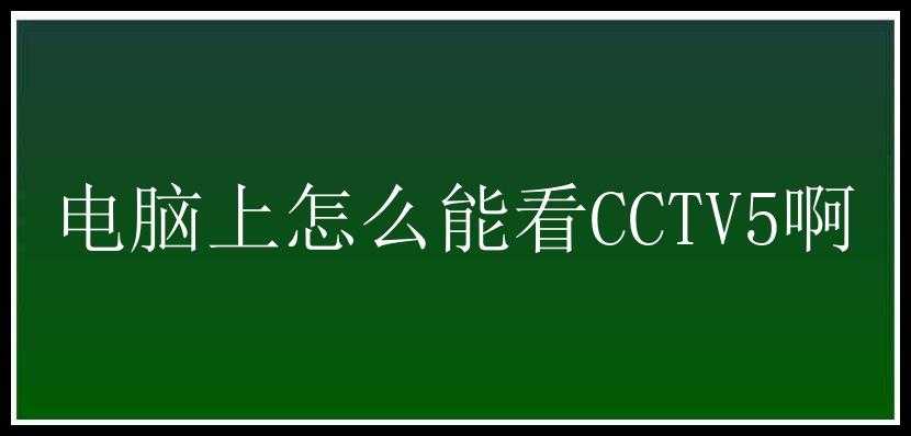 电脑上怎么能看CCTV5啊