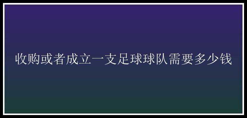 收购或者成立一支足球球队需要多少钱