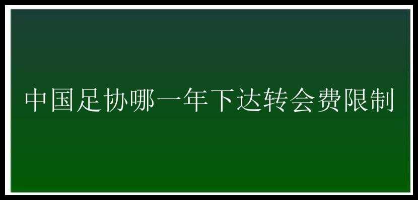 中国足协哪一年下达转会费限制