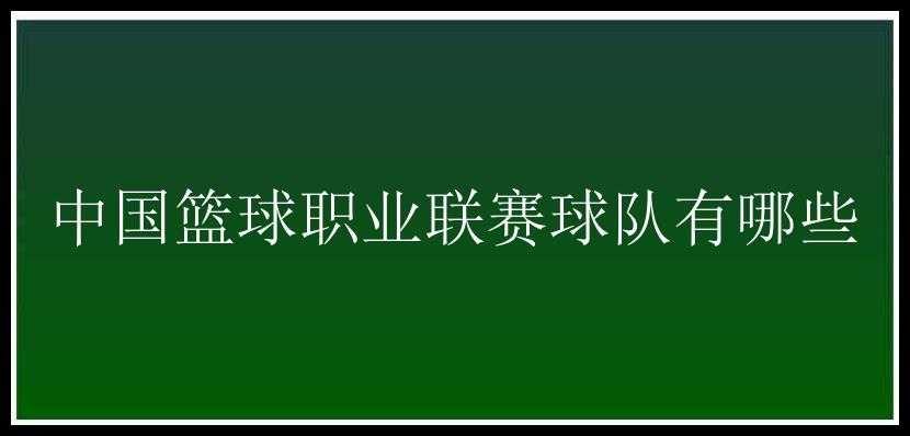 中国篮球职业联赛球队有哪些