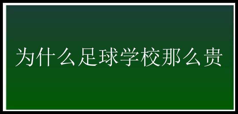 为什么足球学校那么贵