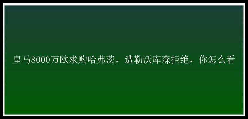 皇马8000万欧求购哈弗茨，遭勒沃库森拒绝，你怎么看