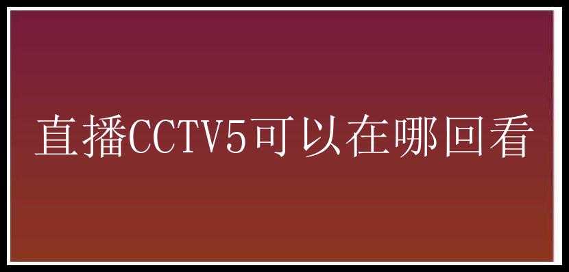 直播CCTV5可以在哪回看